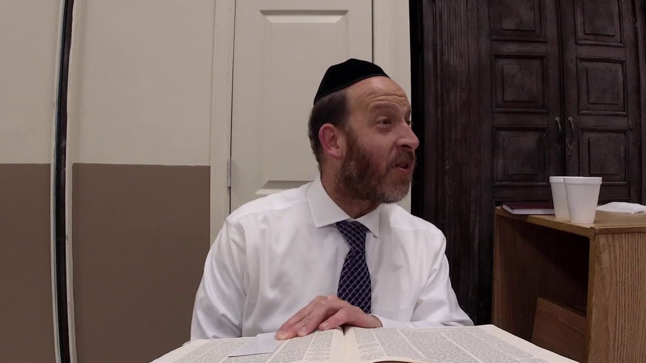 Bechoros 36 with Rabbi Shmuel Silber