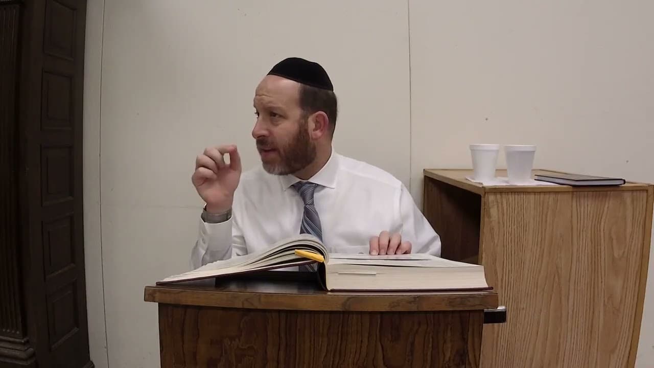 Daf Yomi| Menachos 81