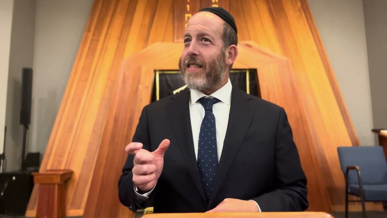 Elul: Fins and Fields