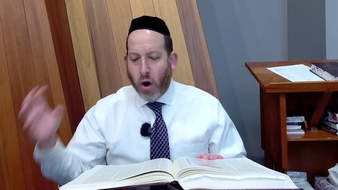 Daf Yomi: Pesachim 96