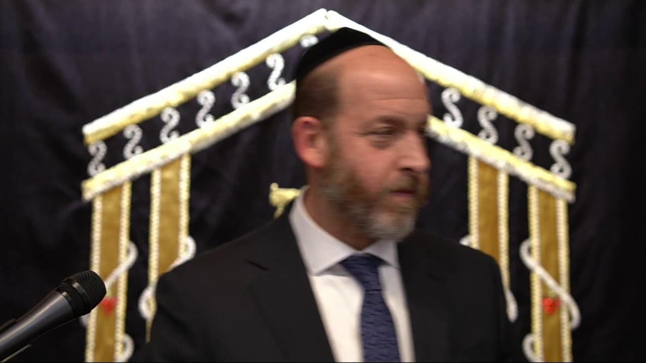 Tehillim & Torah | Looking for the Light: The Luminescent Power of Chanukah