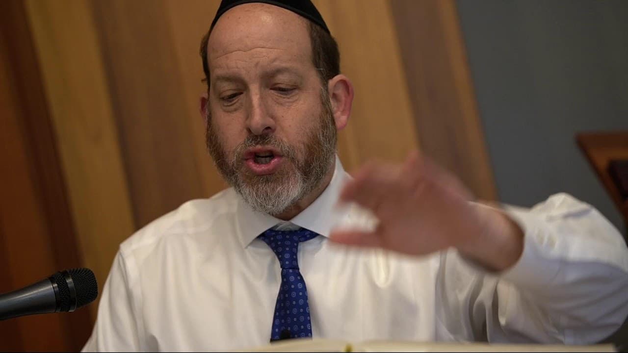Daf Yomi: Bava Kamma 115 |  Rabbi Shmuel Silber