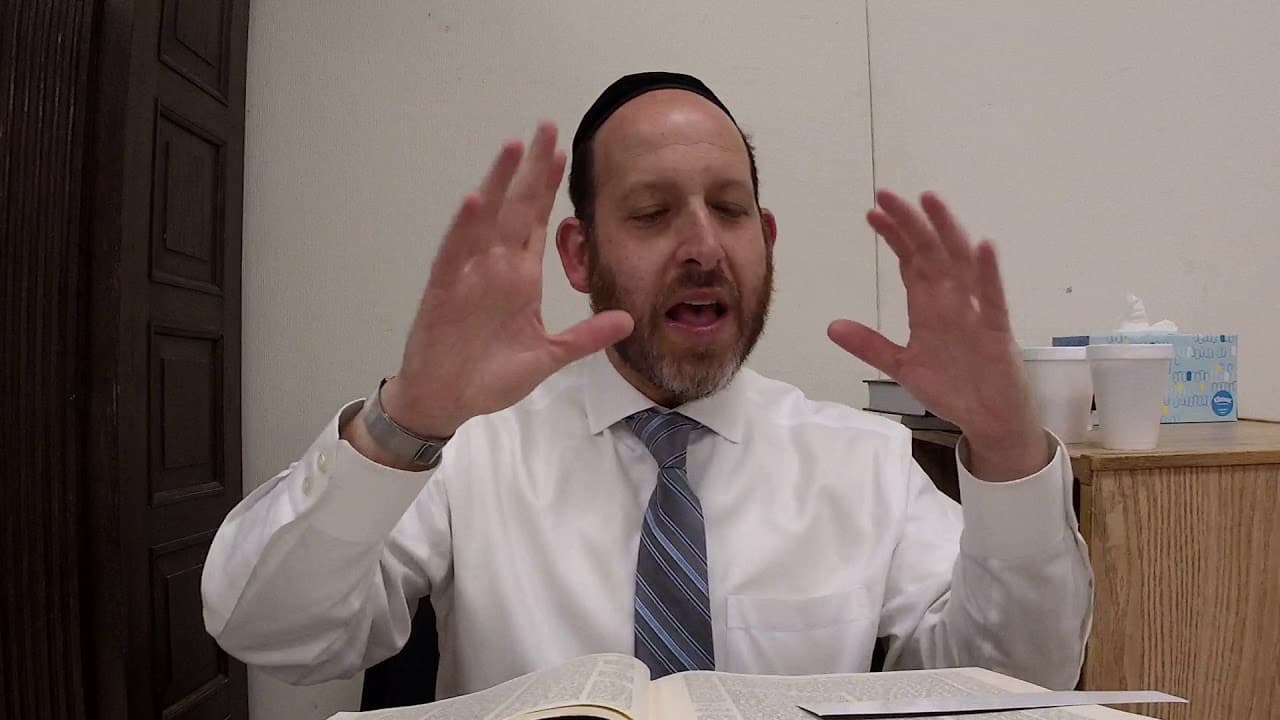 Zevachim 21