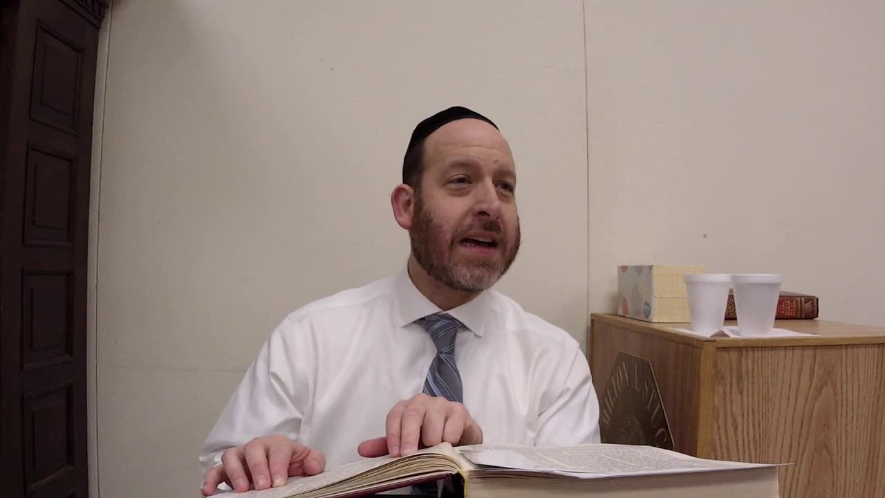 Chullin 41 with Rabbi Shmuel Silber