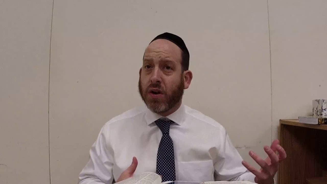 Avodah Zara 11