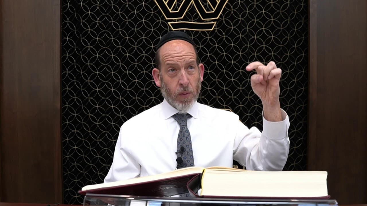 Daf Yomi: Chullin 87 | Rabbi Shmuel Silber