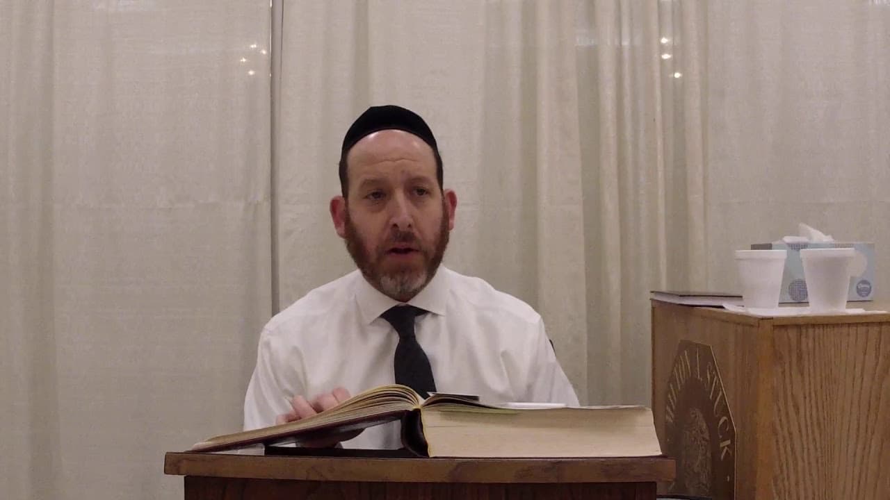 Chullin 69 with Rabbi Shmuel Silber