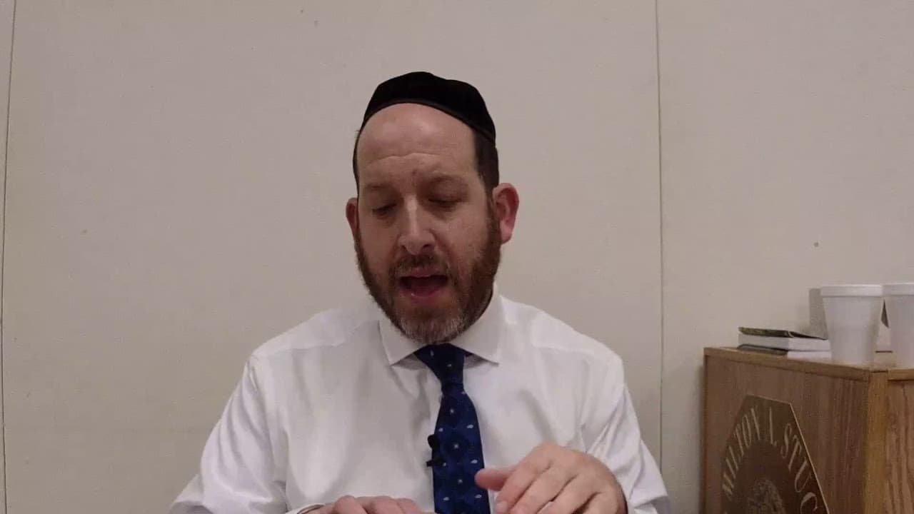 Avodah Zara 24